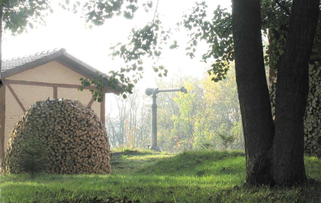 Apartamenty Carskie Białowieża Екстериор снимка