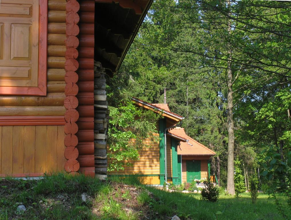 Apartamenty Carskie Białowieża Екстериор снимка